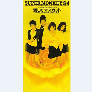 草莓视频在线观看视频在线
